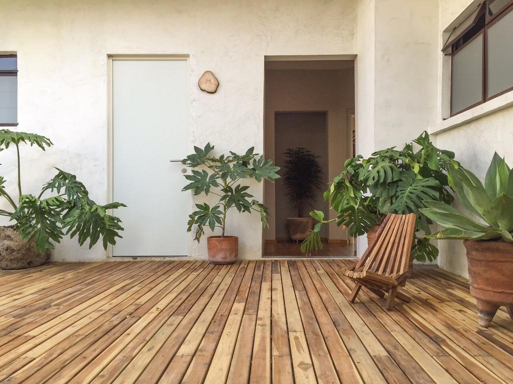 Chaya B&B Boutique Mexico City Eksteriør billede