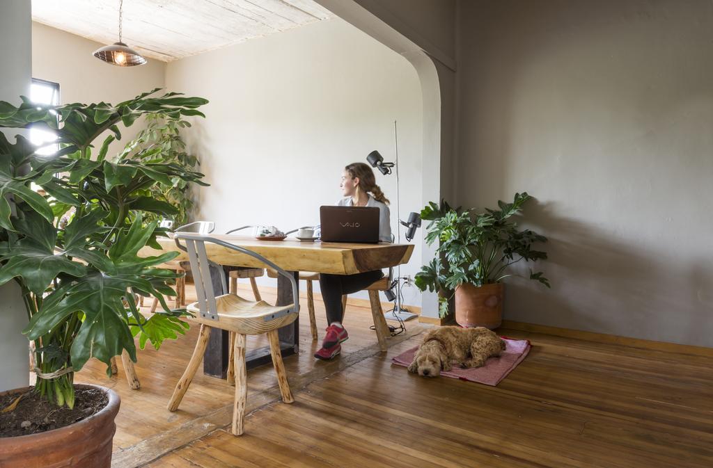 Chaya B&B Boutique Mexico City Eksteriør billede