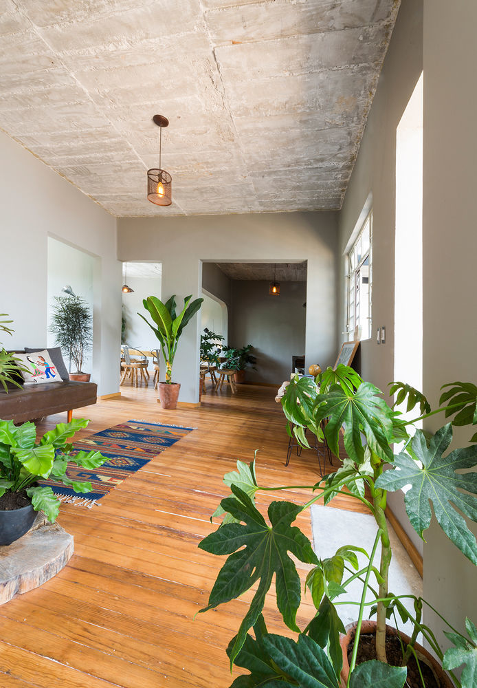 Chaya B&B Boutique Mexico City Eksteriør billede